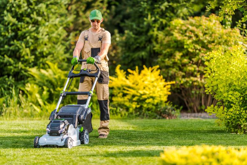 Landscaper mowing a green lawn